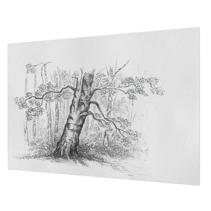 Tapéta Vlies Fali Dekoráció, Wallfluent, Erdei fa, Fekete és fehér, 208 x 146 cm, Nem Szőtt, Modern Dizájn, 010100060040000285048