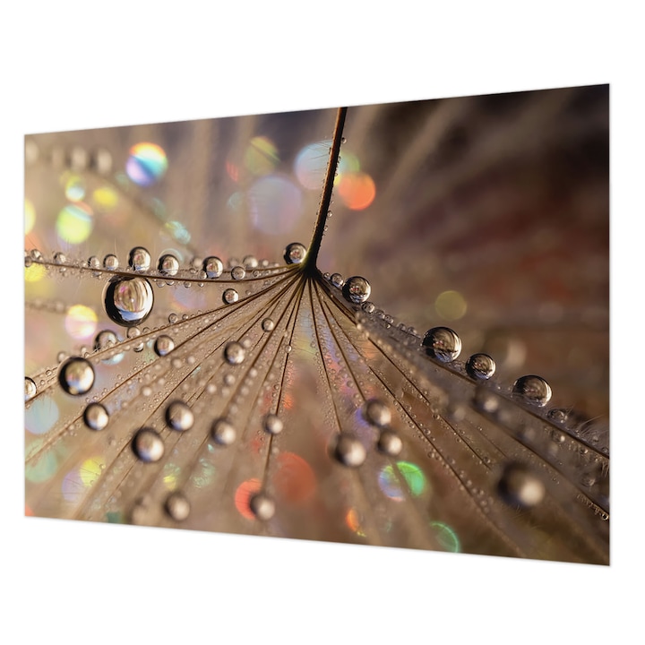 Dekor Tapéta, Wallfluent, Gyöngycseppek, Bézs, 208 x 146 cm, Vlies, Öko, 010100060040000285068