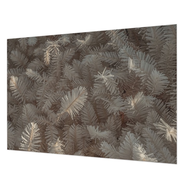 Fotótapéta Modern De Perete, Wallfluent, Crengute inghetate, Alb, 312 x 219 cm, Art Deco, Usor De Instalat, 010100060080000284971