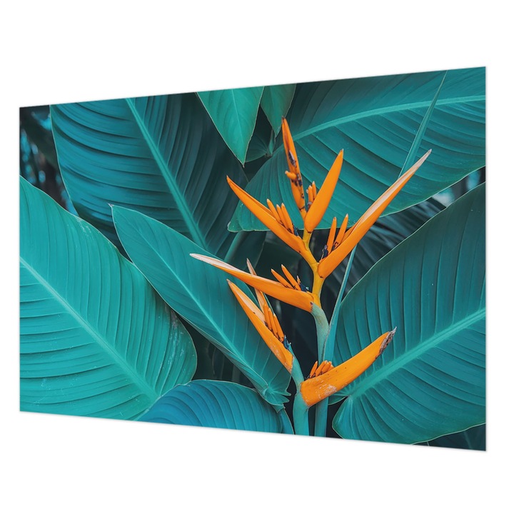 Fotótapéta Falra, Wallfluent, Leveles virágok, Narancssárga, 208 x 146 cm, Vlies, Nappaliba, Szobába, 010100060040000285151