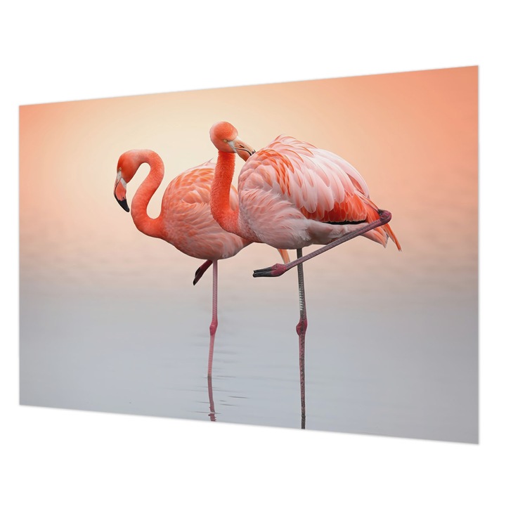 Fotótapéta Falra, Wallfluent, Finom flamingók, Narancssárga, 208 x 146 cm, Vlies, Nappaliba, Szobába, 010100060040000284875