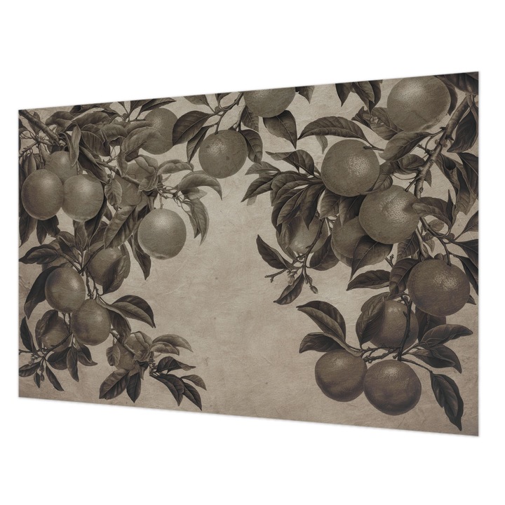 Fotótapéta Falra, Wallfluent, Gyümölcsminta, Szürke, 104 x 70 cm, Nem Szőtt, Élénk Színek, 010100060020000285310
