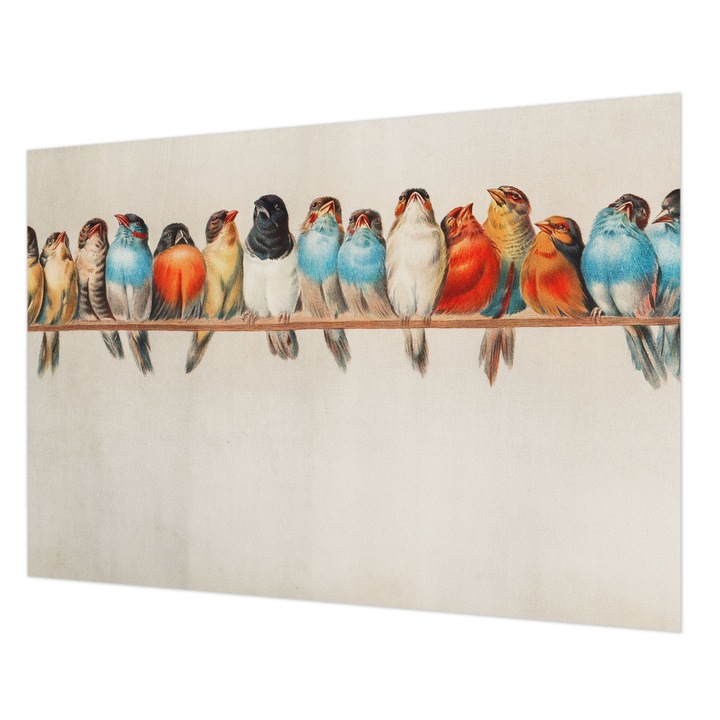 Tapéta Falra, Wallfluent, Madarak egy ágon, Kék, 208 x 146 cm, Vlies, Modern Tapétatekercs, 010100060040000285292