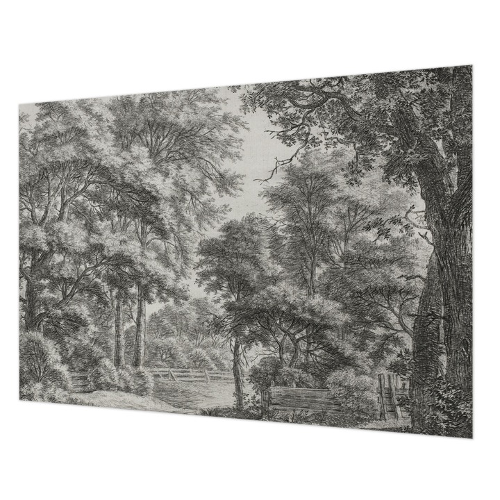 Dekor Tapéta, Wallfluent, Erdei táj, Fekete és fehér, 208 x 146 cm, Vlies, Stílusos, 010100060040000285359