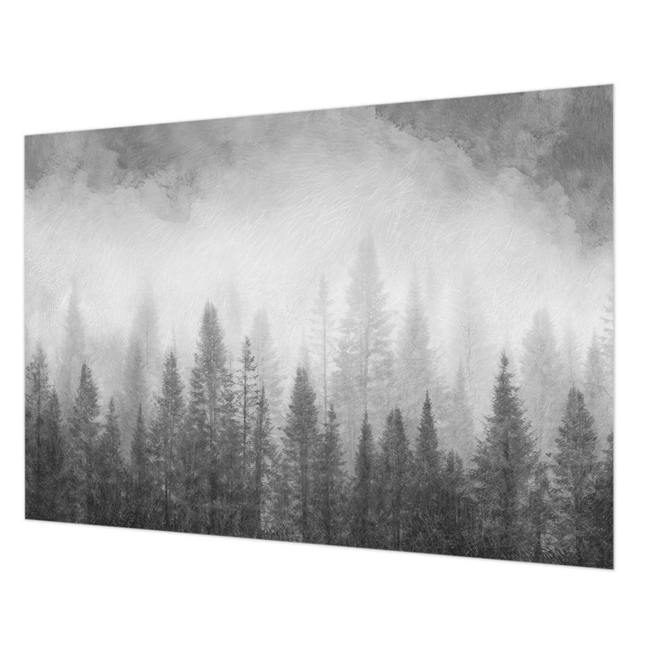 Fotótapéta Falra, Wallfluent, Erdei köd, Fekete és fehér, 208 x 146 cm, Vlies, Nappaliba, Szobába, 010100060040000285329