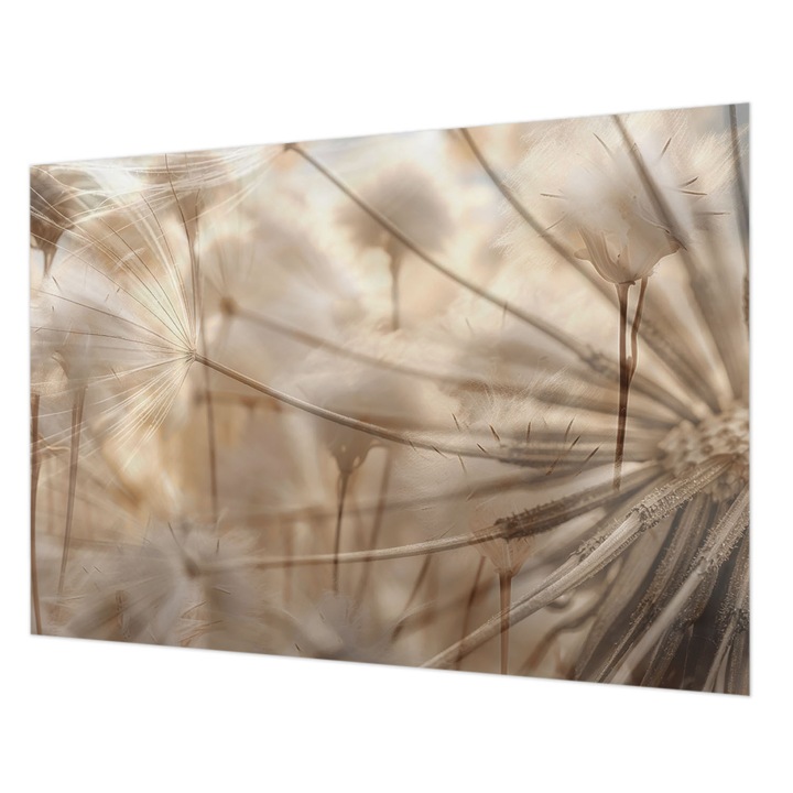 Tapéta Falra, Wallfluent, Finom pitypangok, Bézs, 208 x 146 cm, Nem Szőtt, Klasszikus, 010100060040000285118