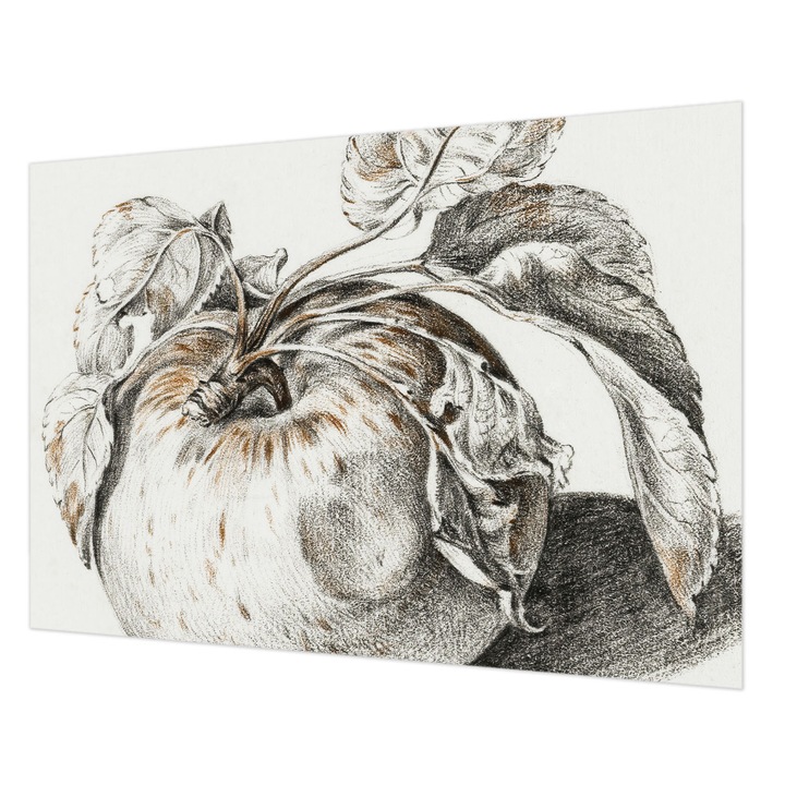 Fotótapéta Falra, Wallfluent, Alma levelek, Szürke, 208 x 146 cm, Nem Szőtt, Erős Ragasztó, 010100060040000285422