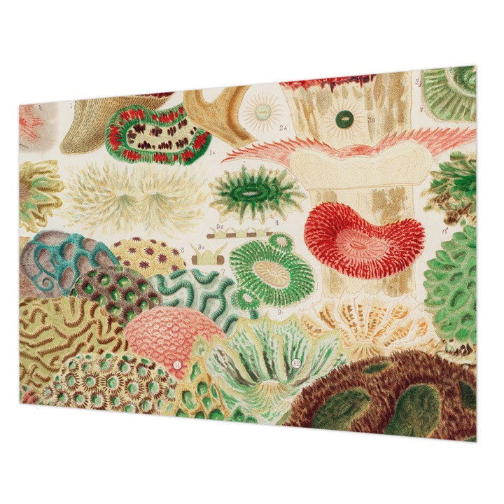 Tapéta Vlies Fali Dekoráció, Wallfluent, Organikus formák, Zöld, 312 x 219 cm, Nem Szőtt, Stílusos, 010100060080000285436