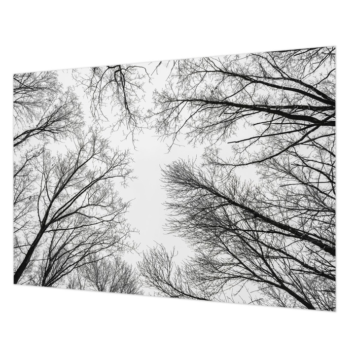 Tapéta Falra, Wallfluent, Csupasz ágak, Fekete és fehér, 208 x 146 cm, Nem Szőtt, Fali Dekoráció, 010100060040000282714