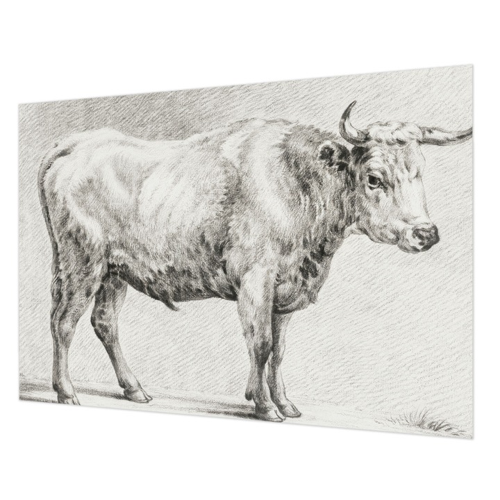 Fotótapéta Falra, Wallfluent, Bika ceruza, Szürke, 208 x 146 cm, Vlies, Erős Ragasztó, 010100060040000285421