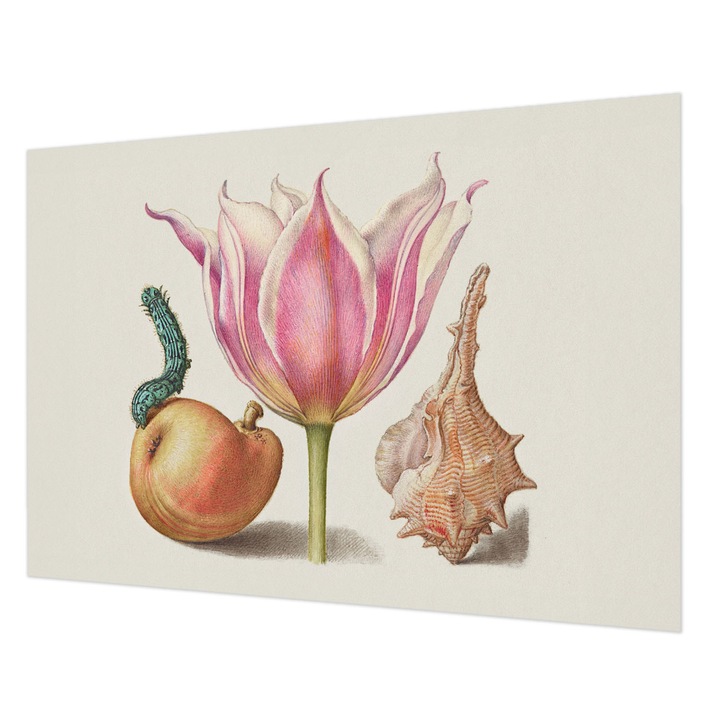 Dekor Tapéta, Wallfluent, Természetes szimbiózis, Bézs, 208 x 146 cm, Nem Szőtt, Falra, 010100060040000285485