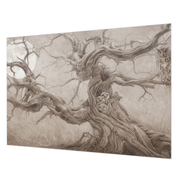 Dekor Tapéta, Wallfluent, Éjszakai madarak, Bézs, 208 x 146 cm, Vlies, Előszobába, Hálószobába, 010100060040000285274