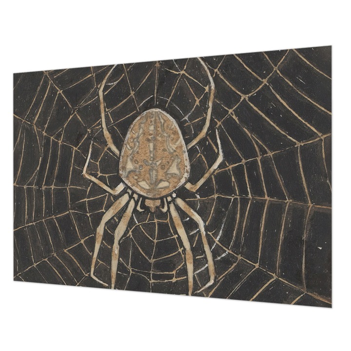 Tapéta Falra, Wallfluent, Pókháló, Fekete, 312 x 219 cm, Vlies, Klasszikus, 010100060080000285509