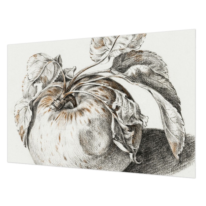 Fotótapéta Falra, Wallfluent, Alma levelek, Szürke, 104 x 70 cm, Nem Szőtt, Erős Ragasztó, 010100060020000285422