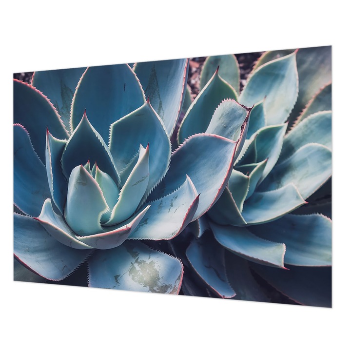 Tapéta Falra, Wallfluent, Zöld aloe vera, Kék, 208 x 146 cm, Nem Szőtt, Dekoráció, 010100060040000284754