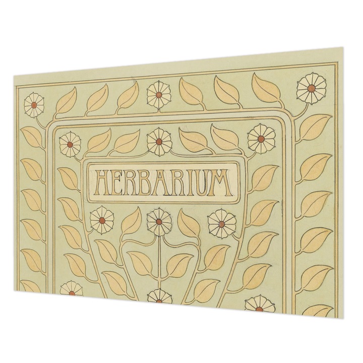 Tapéta Vlies Fali Dekoráció, Wallfluent, Növényi dísz, Fehér, 208 x 146 cm, Nem Szőtt, Élénk Színek, 010100060040000285553