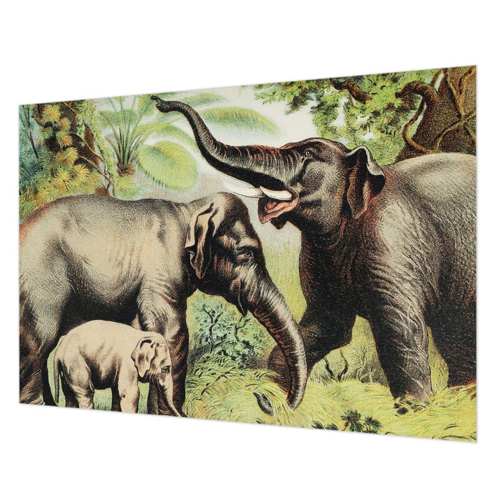 Dekor Tapéta, Wallfluent, Családi elefántok, Zöld, 312 x 219 cm, Nem Szőtt, Élénk Színek, 010100060080000285579