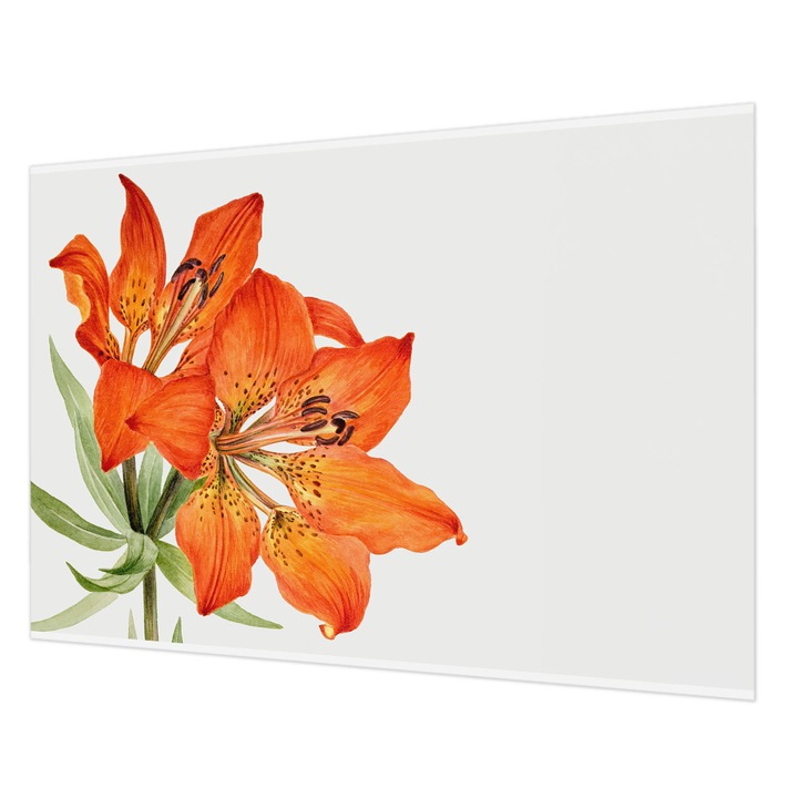 Dekor Tapéta, Wallfluent, Narancssárga liliom, Narancssárga, 208 x 146 cm, Vlies, Falra, 010100060040000285484