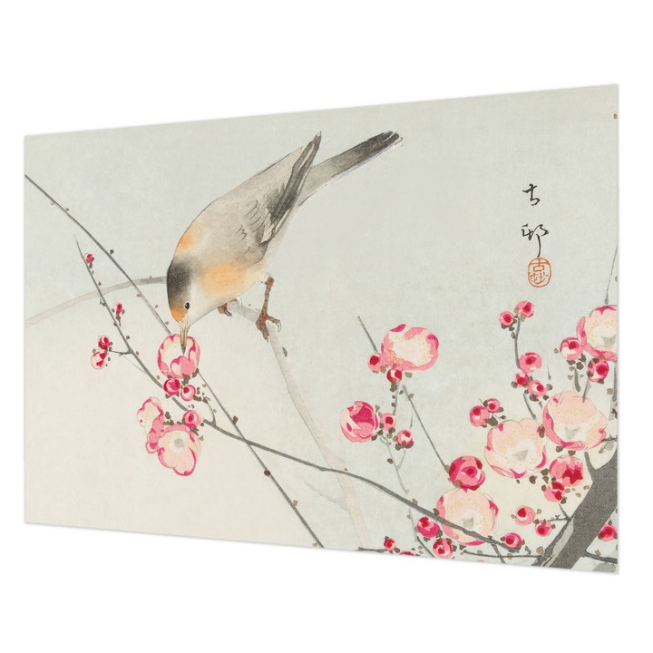 Tapéta Vlies Fali Dekoráció, Wallfluent, Virágmadár, Fekete, 208 x 146 cm, Nem Szőtt, Modern Belsőépítészeti Dekoráció, 010100060040000285555