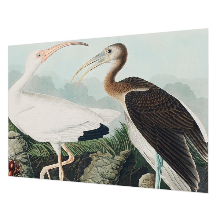 Dekor Tapéta, Wallfluent, Madárpár, Fehér, 312 x 219 cm, Nem Szőtt, Dekoráció, 010100060080000285595