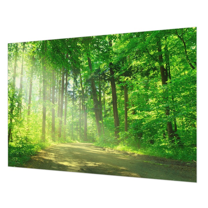 Tapéta Falra, Wallfluent, Erdei ösvény, Zöld, 208 x 146 cm, Vlies, Öko, 010100060040000001454