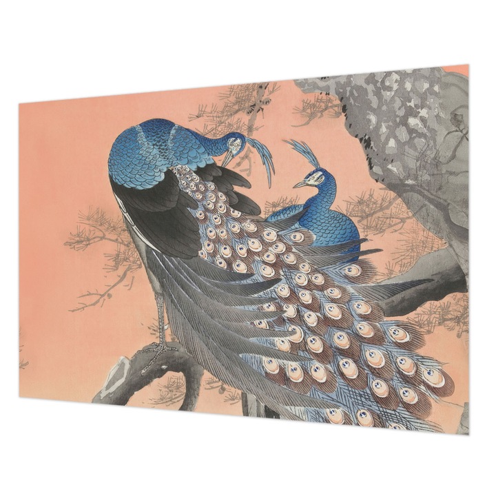 Tapéta Vlies Fali Dekoráció, Wallfluent, Páva elegancia, Narancssárga, 208 x 146 cm, Nem Szőtt, Modern Dizájn, 010100060040000285556