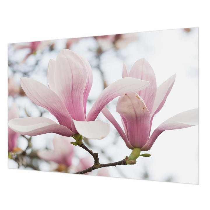Tapéta Vlies Fali Dekoráció, Wallfluent, Magnólia virágok, Rózsaszín, 208 x 146 cm, Nem Szőtt, Nappaliba, Szobába, 010100060040000284925