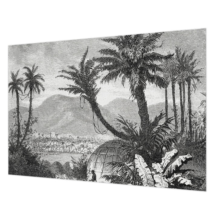 Tapéta Vlies Fali Dekoráció, Wallfluent, Trópusi oázis, Fekete és fehér, 208 x 146 cm, Nem Szőtt, Modern Tapétatekercs, 010100060040000285561