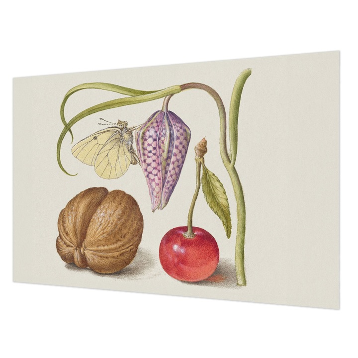 Dekor Tapéta, Wallfluent, Pillangó növény, Krémszín, 104 x 70 cm, Nem Szőtt, Dekoráció, 010100060020000285483