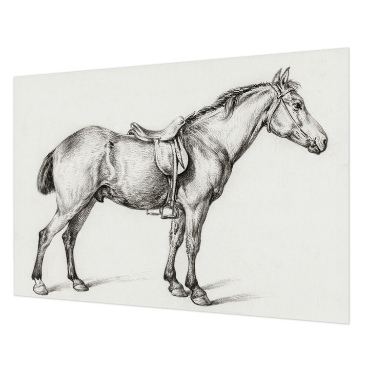 Fotótapéta Falra, Wallfluent, Vázlat egy lóról, Fekete és fehér, 312 x 219 cm, Vlies, Nappaliba, Szobába, 010100060080000018050