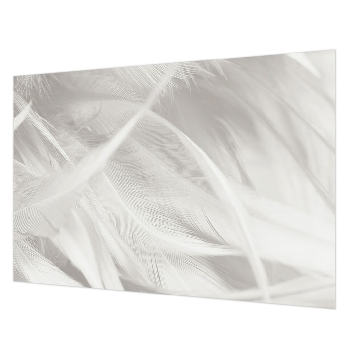 Tapéta Falra, Wallfluent, Finom tollak, Fehér, 152 x 104 cm, Nem Szőtt, Élénk Színek, 010100060030000282655