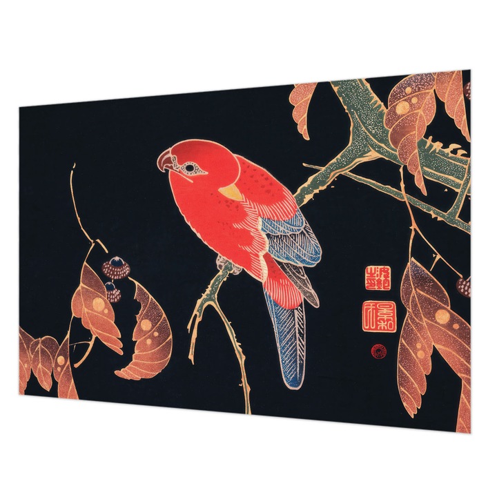 Fotótapéta Falra, Wallfluent, Egzotikus madár, Fekete, 152 x 104 cm, Nem Szőtt, Modern Belsőépítészeti Dekoráció, 010100060030000285416