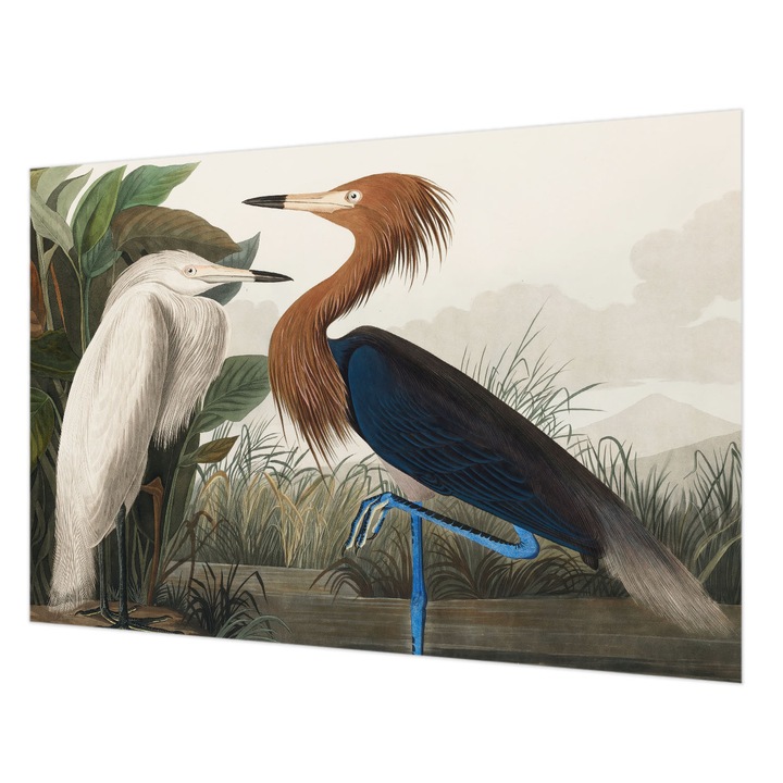 Dekor Tapéta, Wallfluent, Madarak a növényekben, Zöld, 152 x 104 cm, Vlies, Falra, 010100060030000285594