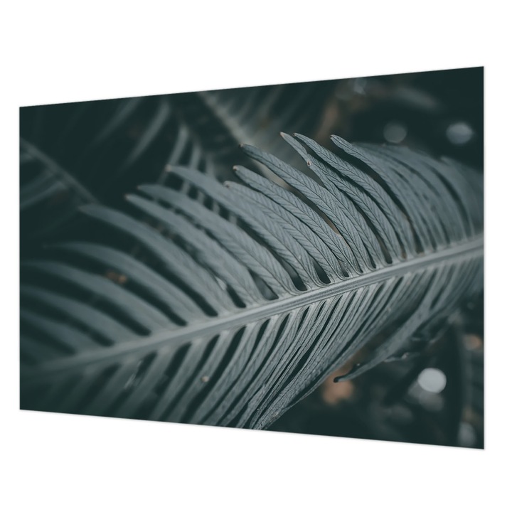 Fotótapéta Falra, Wallfluent, Zöld levél, Zöld, 208 x 146 cm, Vlies, Könnyen Felszerelhető, 010100060040000284893