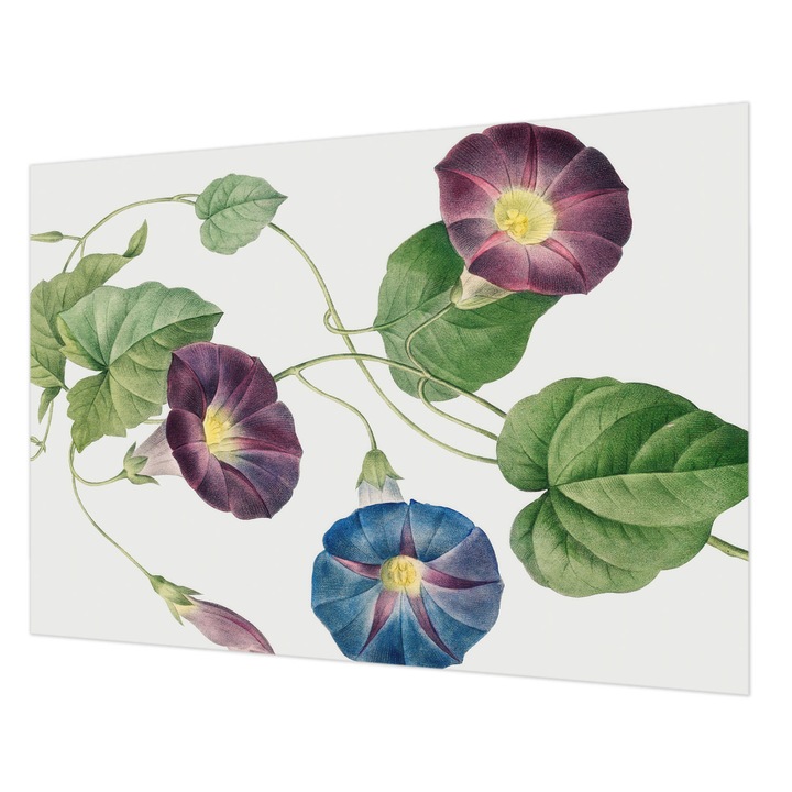 Tapéta Falra, Wallfluent, Florisztikai elegancia, Fekete, 208 x 146 cm, Vlies, Élénk Színek, 010100060040000285498