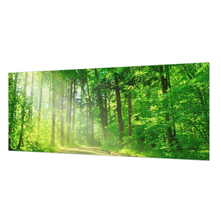 Tapéta Falra, Wallfluent, Erdei ösvény, Zöld, 250 x 104 cm, Vlies, Öko, 010100060050000001454