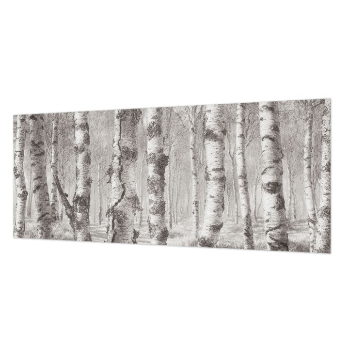 Fotótapéta Falra, Wallfluent, Nyírerdő, Szürke, 250 x 104 cm, Vlies, Fali Dekoráció, 010100060050000285318