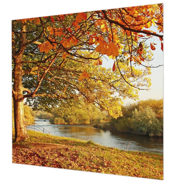 Vlies Fotótapéta De Perete, Wallfluent, Toamna de coasta, Galben, 250 x 250 cm, Decorativ, Pentru Living, Hol, 010100060060000001146