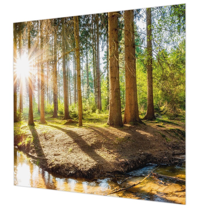 Vlies Fotótapéta De Perete, Wallfluent, Idila in padure, Verde, 250 x 250 cm, Decorativ, Pentru Birou, 010100060060000007339