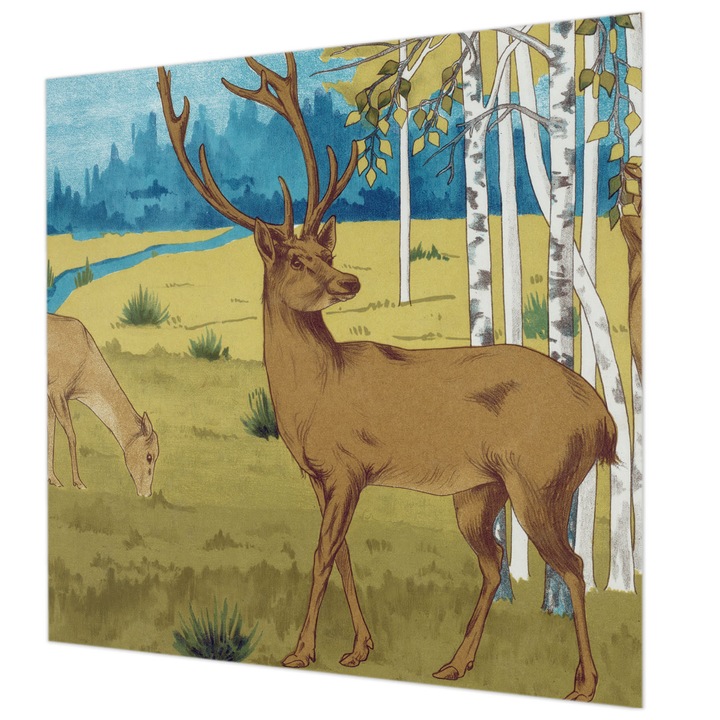 Rola Tapet Vlies De Perete, Wallfluent, Armonia padurii, Verde, 250 x 250 cm, Elegant, De Interior, 010100060060000285499