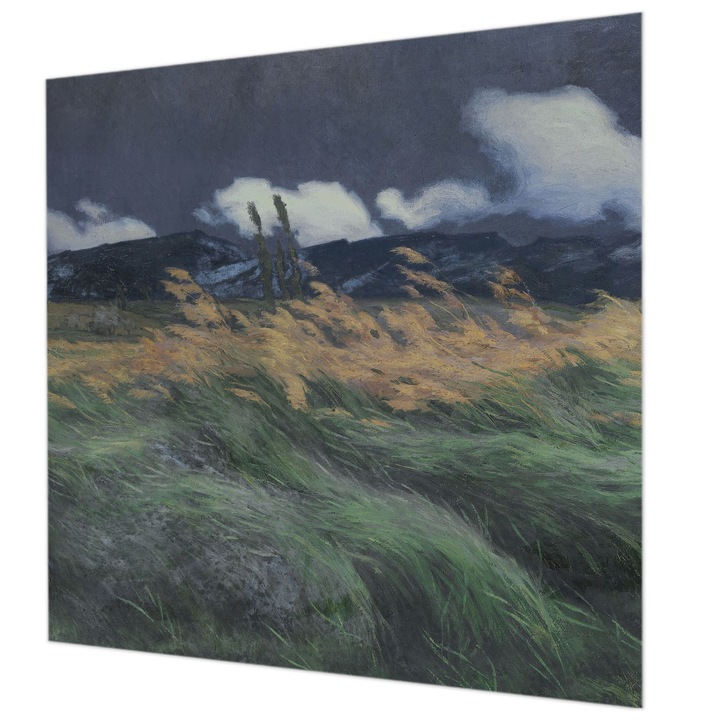 Rola Tapet Vlies De Perete, Wallfluent, Ierburi suflate, Gri, 250 x 250 cm, Elegant, Pentru Birou, 010100060060000285616