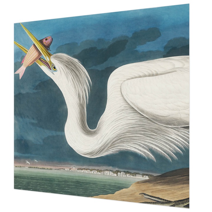 Rola Tapet Vlies De Perete, Wallfluent, Pasare cu peste, Alb, 250 x 250 cm, Elegant, Pentru Uz Intern, 010100060060000285599