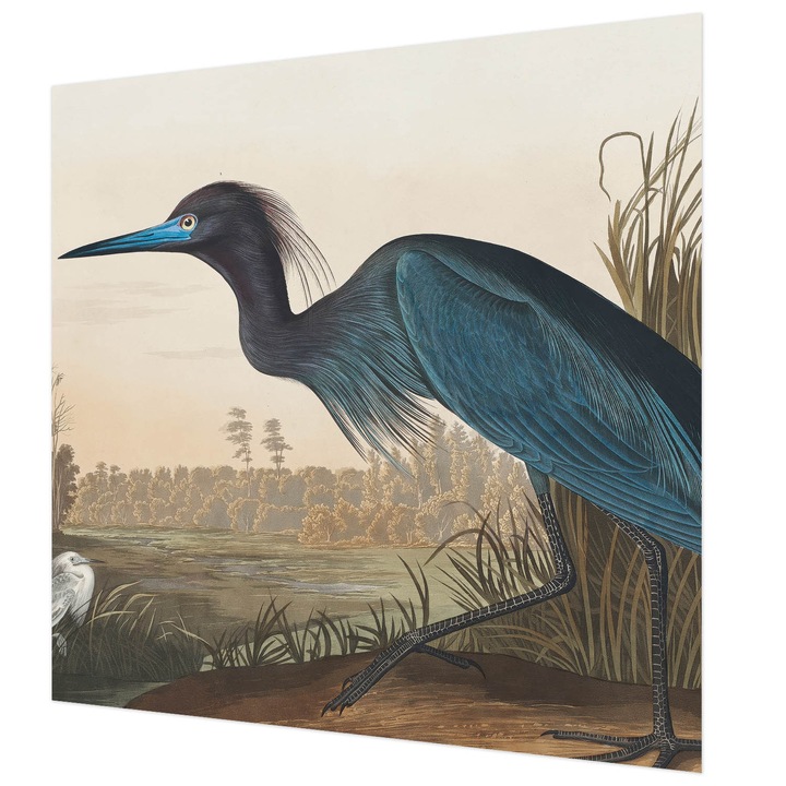 Rola Tapet Vlies De Perete, Wallfluent, Pasari acvatice, Verde, 250 x 250 cm, Art Deco, Pentru Uz Intern, 010100060060000285592