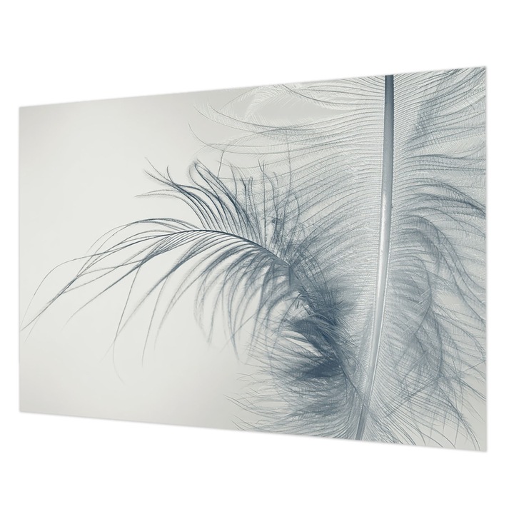 Fotótapéta Falra, Wallfluent, Finom toll, Fehér, 208 x 146 cm, Nem Szőtt, Fali Dekoráció, 010100060040000285023