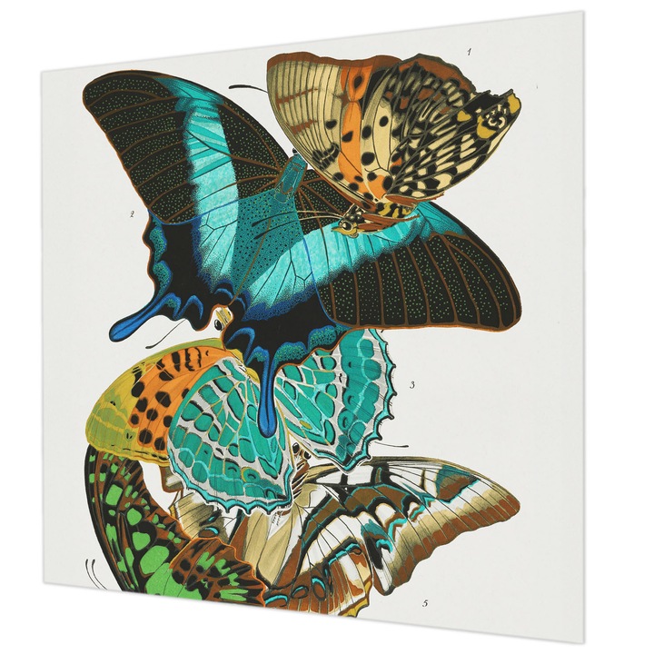 Fototapet Wallfluent, Fluturi colorati, Turcoaz, 250x250cm, Usor de instalat, Rola inclusa