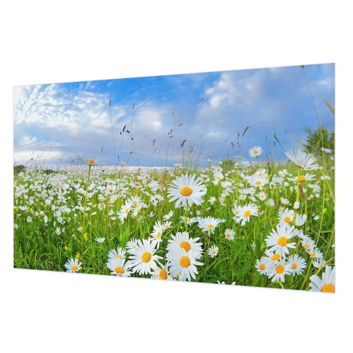 Tapet Vlies De Perete, Wallfluent, Pajiste de vara, Alb, 416 x 254 cm, Art Deco, Pentru Dormitor, Bucatarie, 010100060100000000257