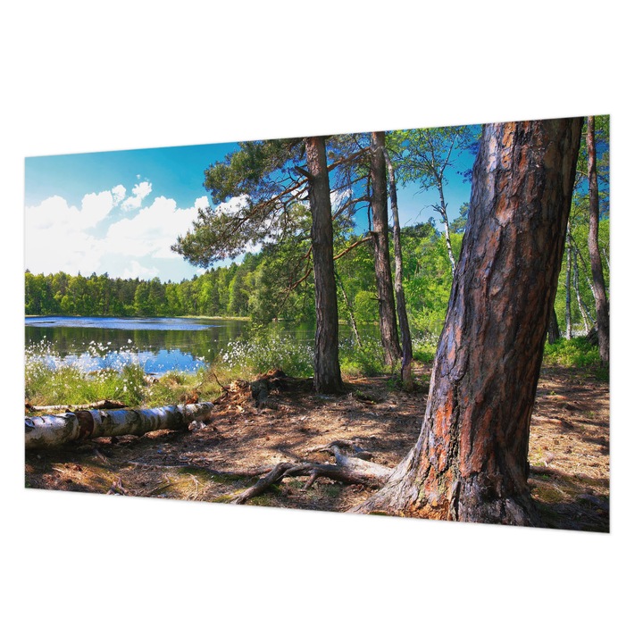 Fali Fotótapéta, Wallfluent, Peisaj forestier, Verde, 416 x 254 cm, Elegant, Pentru Dormitor, Bucatarie, 010100060100000001736