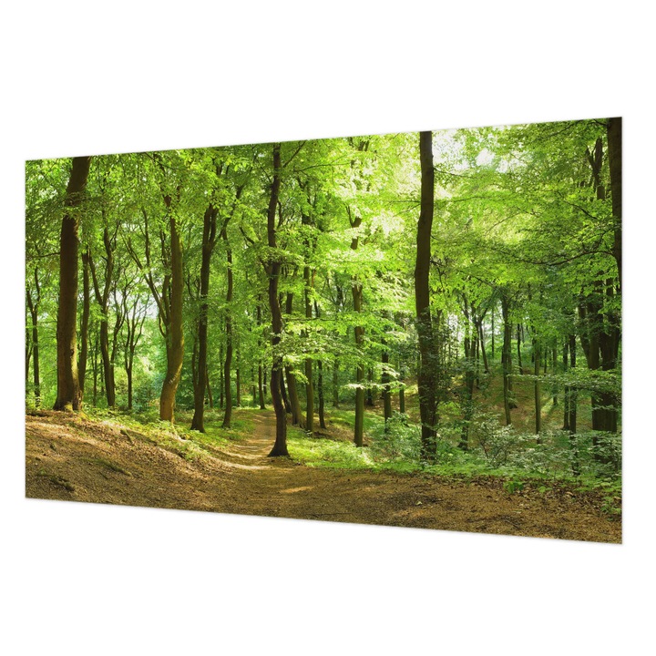 Tapet Vlies Pentru Perete, Wallfluent, Calea naturala, Verde, 416 x 254 cm, Art Deco, Pentru Living, Hol, 010100060100000000799