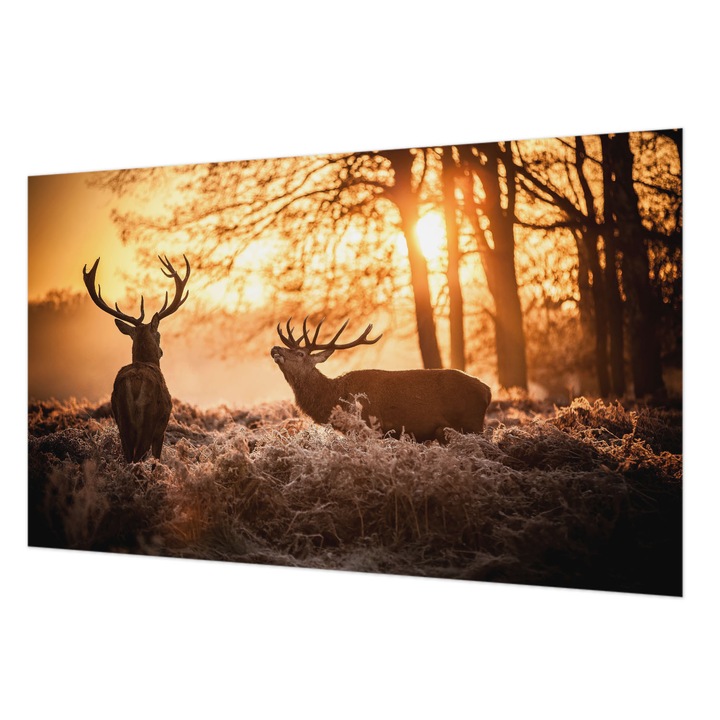 Rola Tapet Vlies De Perete, Wallfluent, Cerb dimineata, Portocaliu, 416 x 254 cm, Art Deco, Pentru Birou, 010100060100000005725