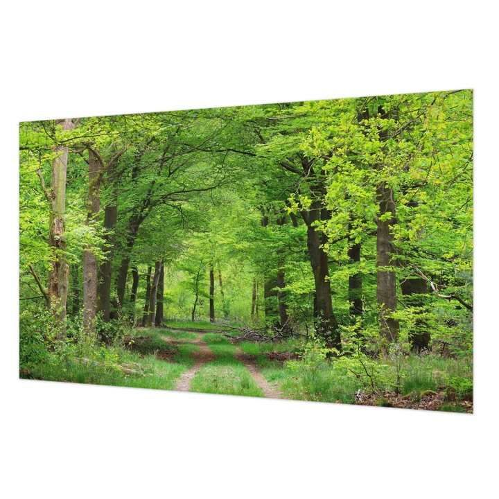 Vlies Fotótapéta De Perete, Wallfluent, Calea padurii, Verde, 416 x 254 cm, Decorativ, Pentru Birou, 010100060100000007217